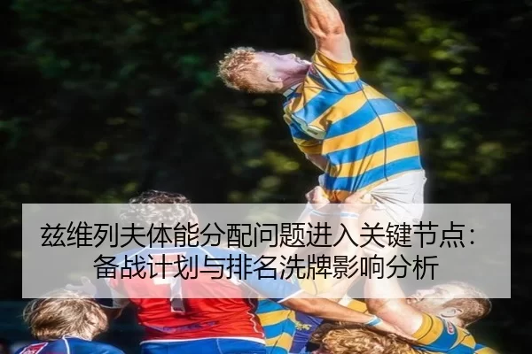 zi-wei-lie-fu-ti-neng-fen-pei-wen-ti-jin-ru-guan-jian-jie-dian-bei-zhan-ji-hua-yu-pai-ming-xi-pai-ying-xiang-fen-xi-2-675.jpg